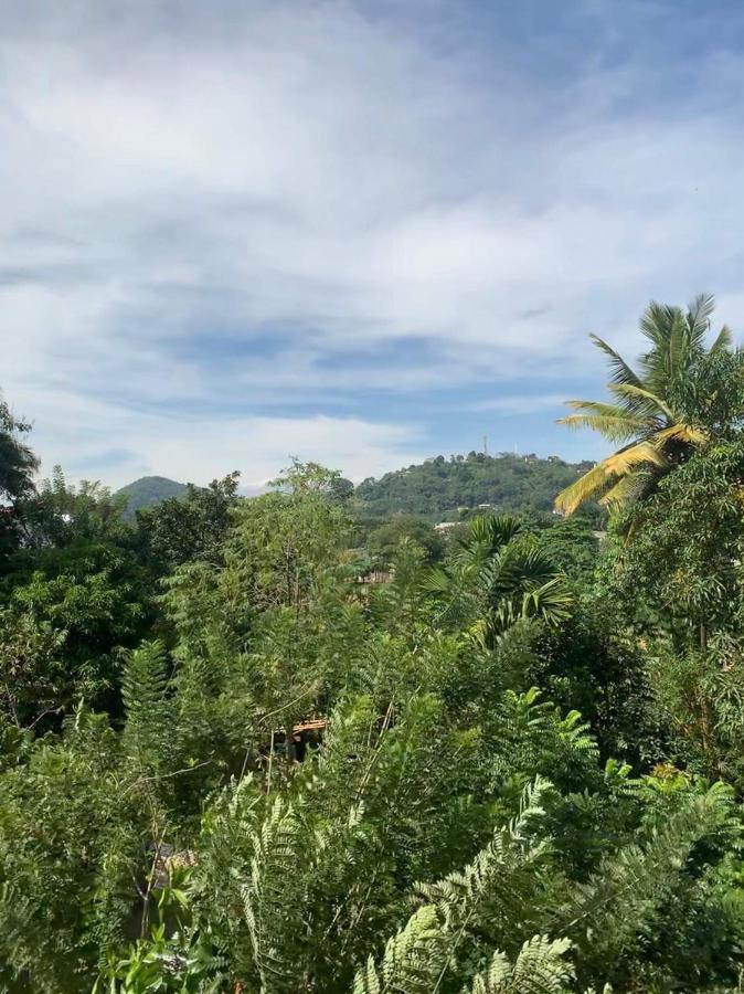 Sura Homestay Kandy Exteriér fotografie