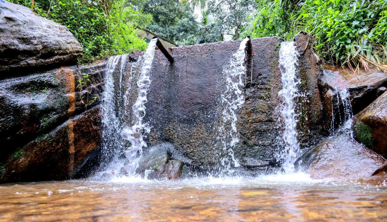 Sura Homestay Kandy Exteriér fotografie